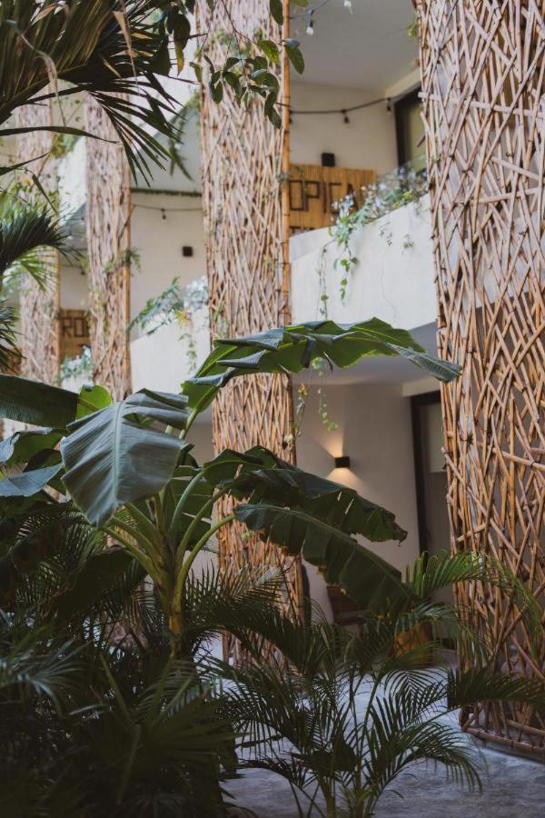 Apartmán Jade Tulum Exteriér fotografie